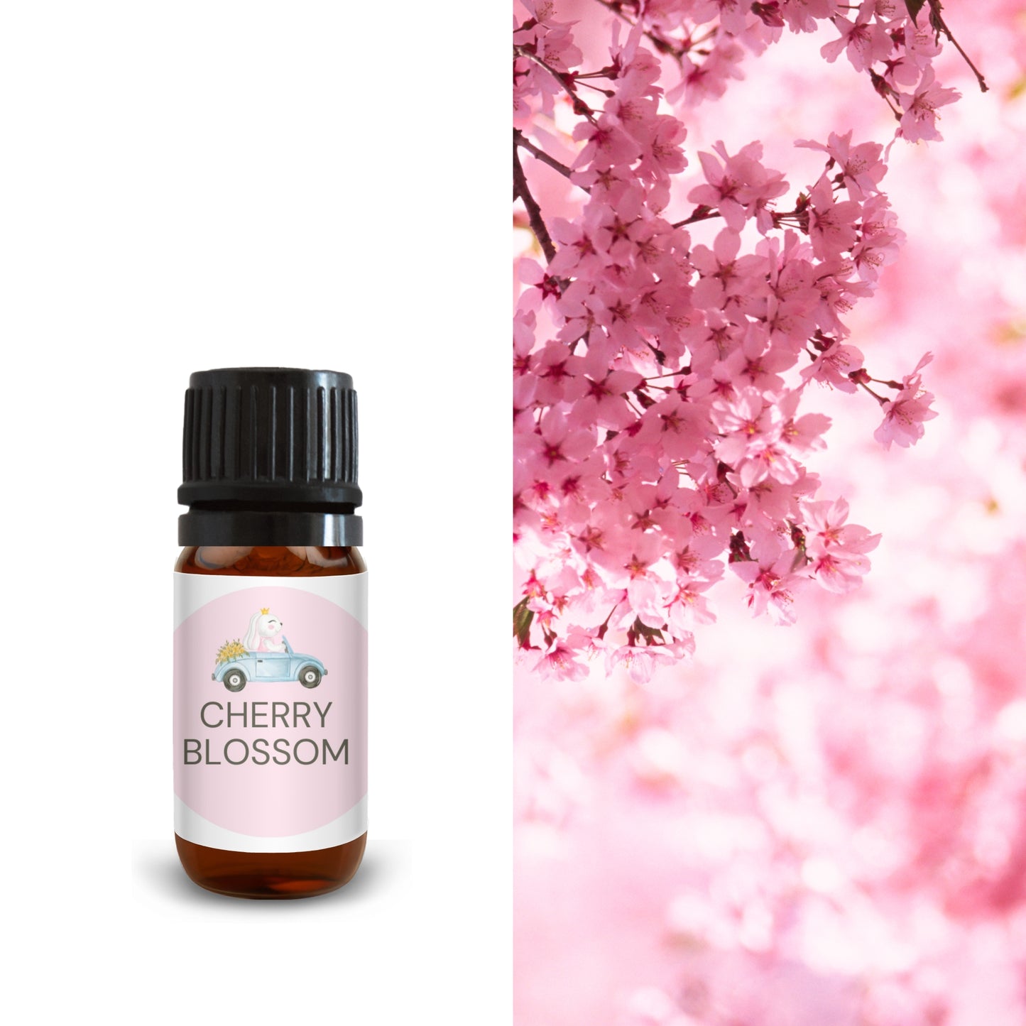 10ml cherry blossom oil bottle beside blooming cherry blossom branches