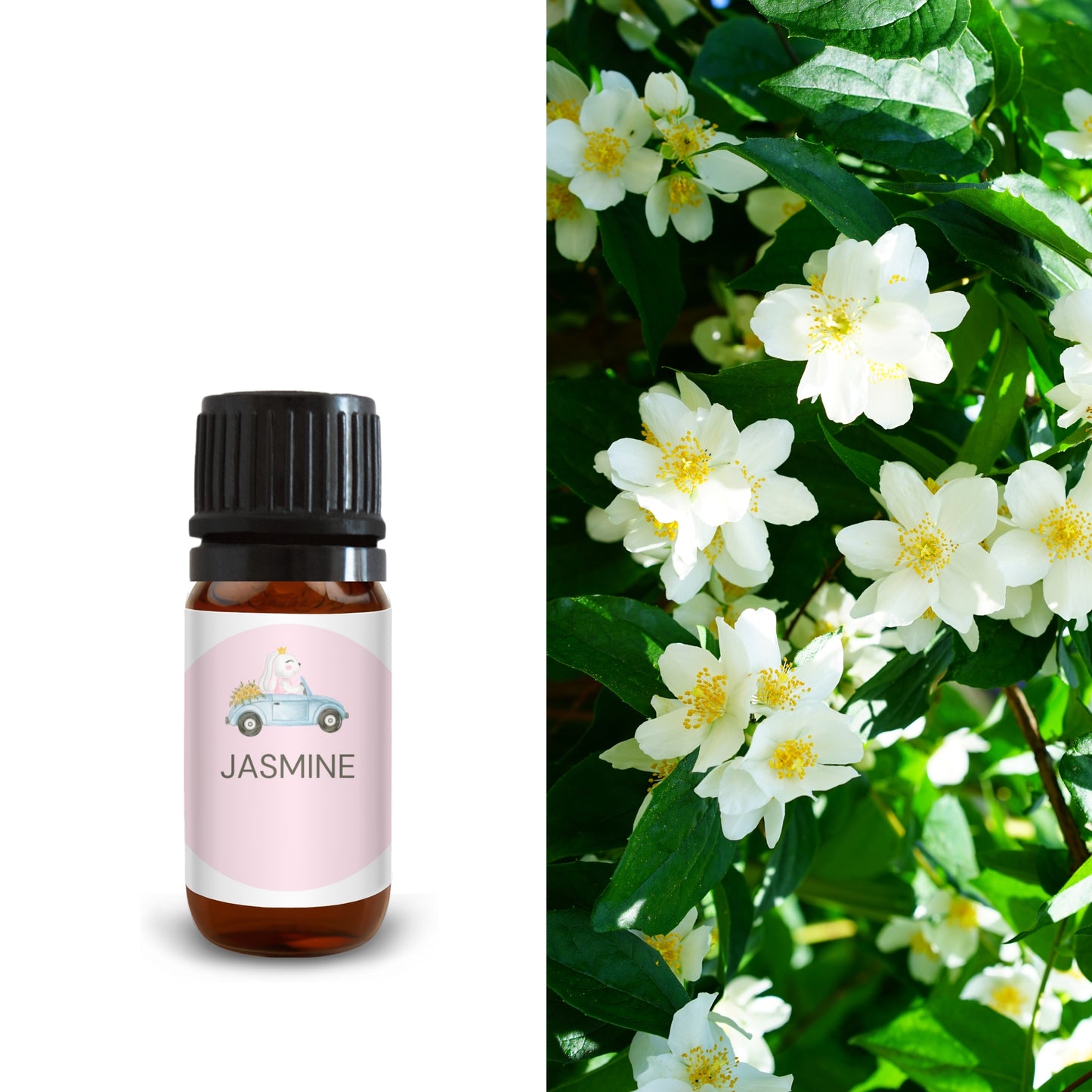 10ml jasmine essential oil bottle next to blooming white jasmine flowers