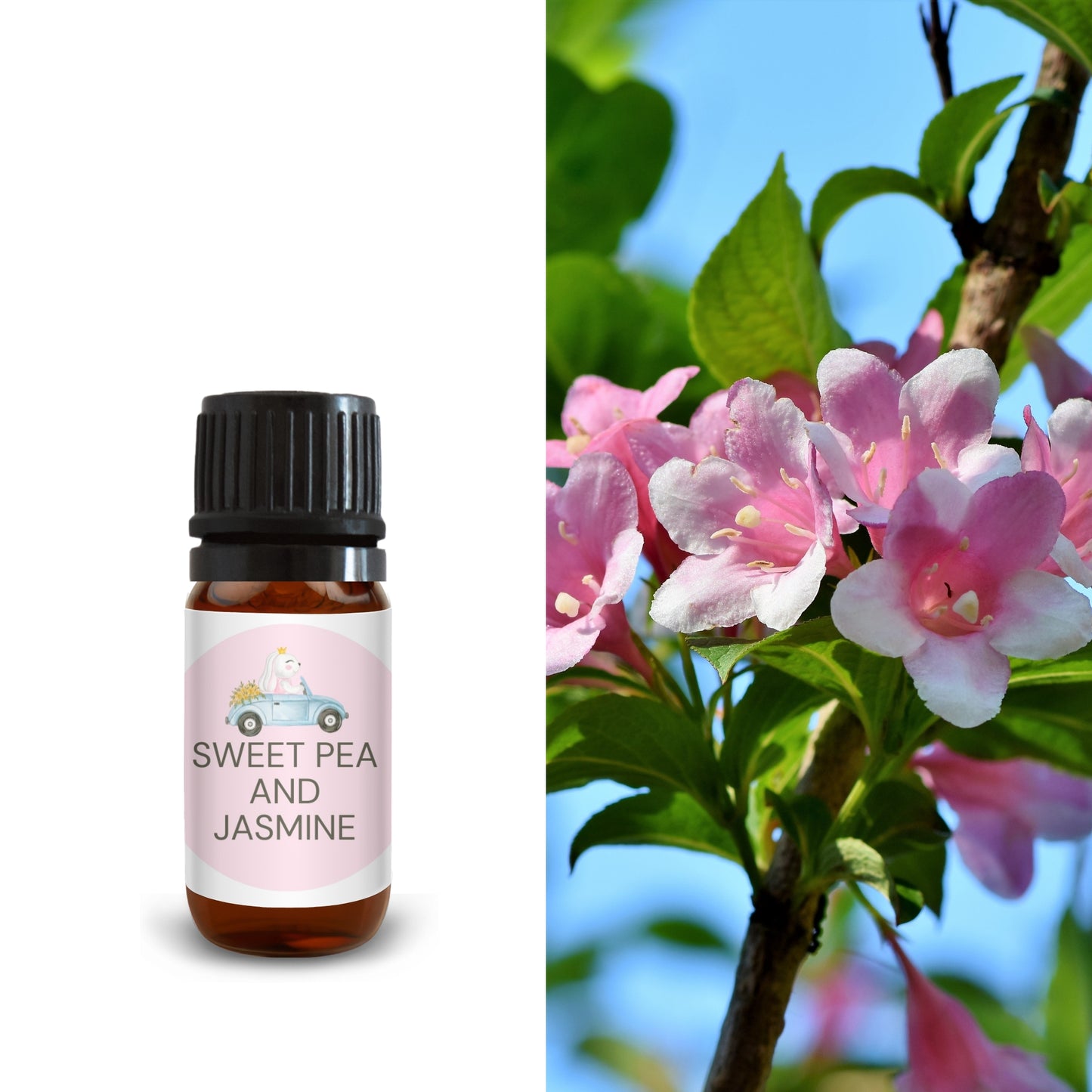 10ml sweet pea and jasmine oil bottle beside blooming pink sweet pea flowers