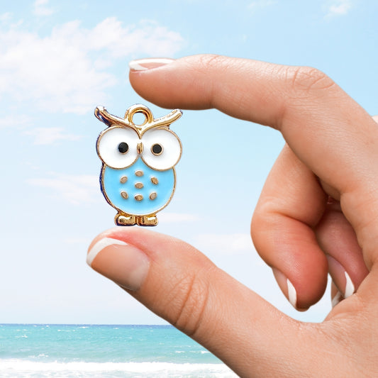 Hand holding a blue owl charm for car diffusers in front of a coastal sky