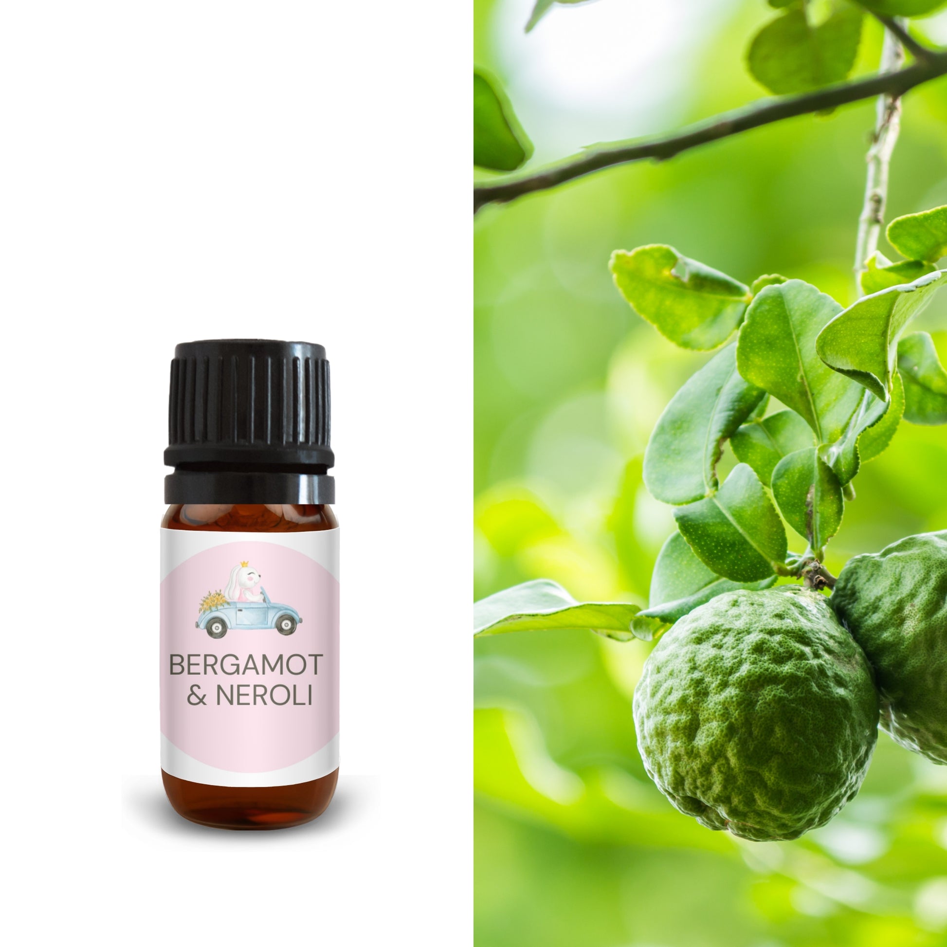 10ml bergamot and neroli oil bottle next to fresh green bergamot fruit on tree