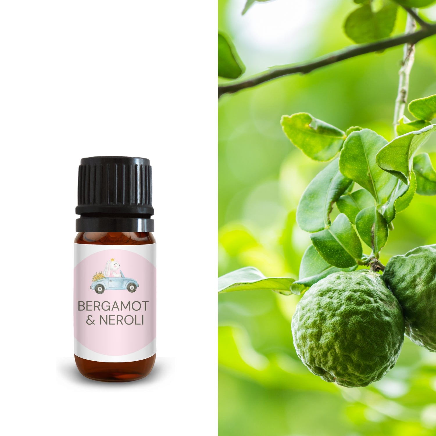 10ml bergamot and neroli oil bottle next to fresh green bergamot fruit on tree